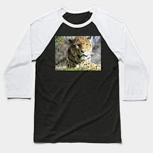 Male Jaguar Baseball T-Shirt